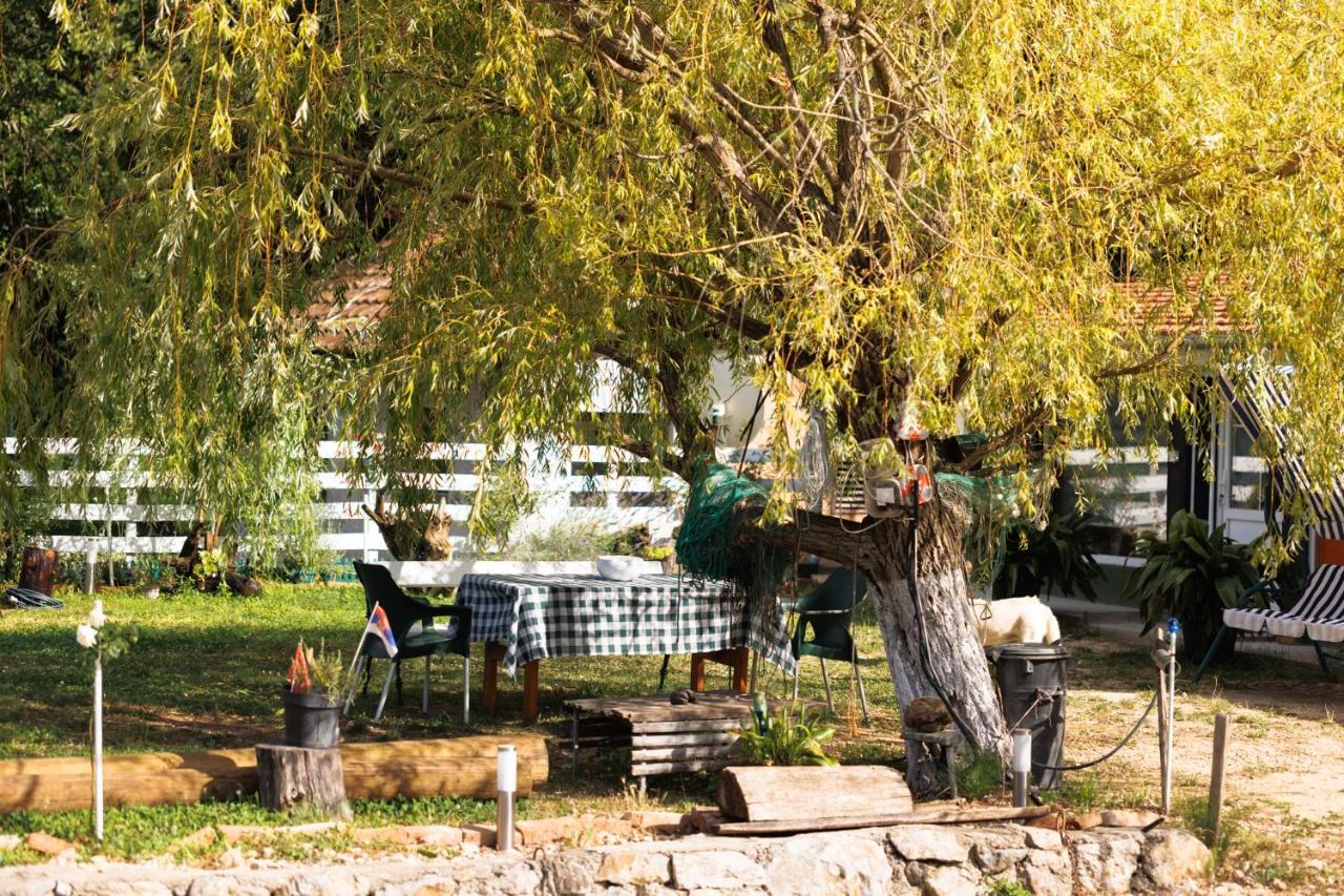 Apartman Barka Golubăţ Exterior foto