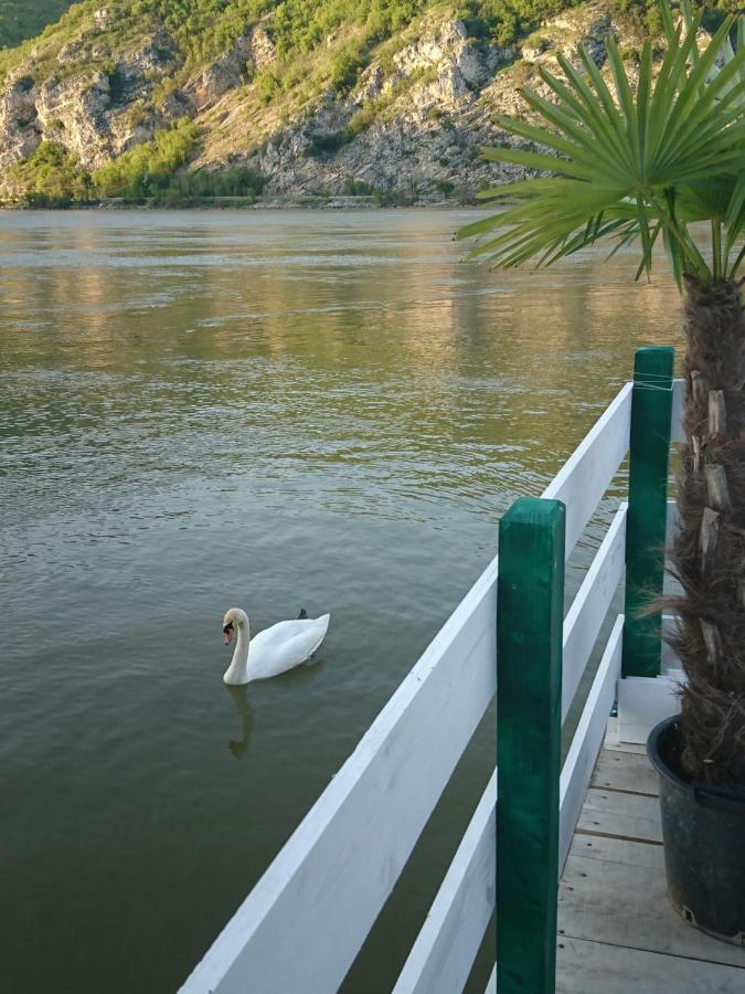 Apartman Barka Golubăţ Exterior foto