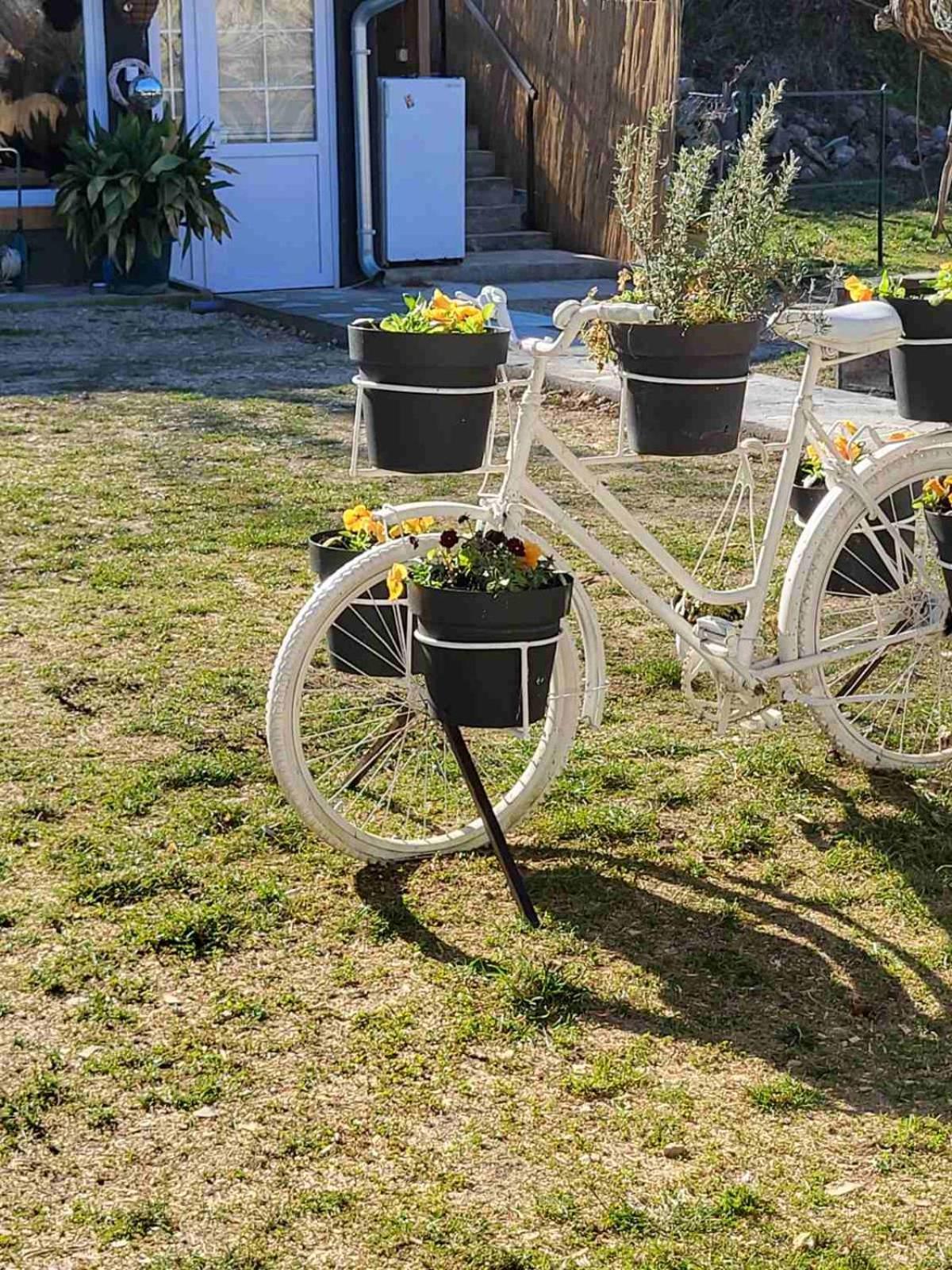 Apartman Barka Golubăţ Exterior foto